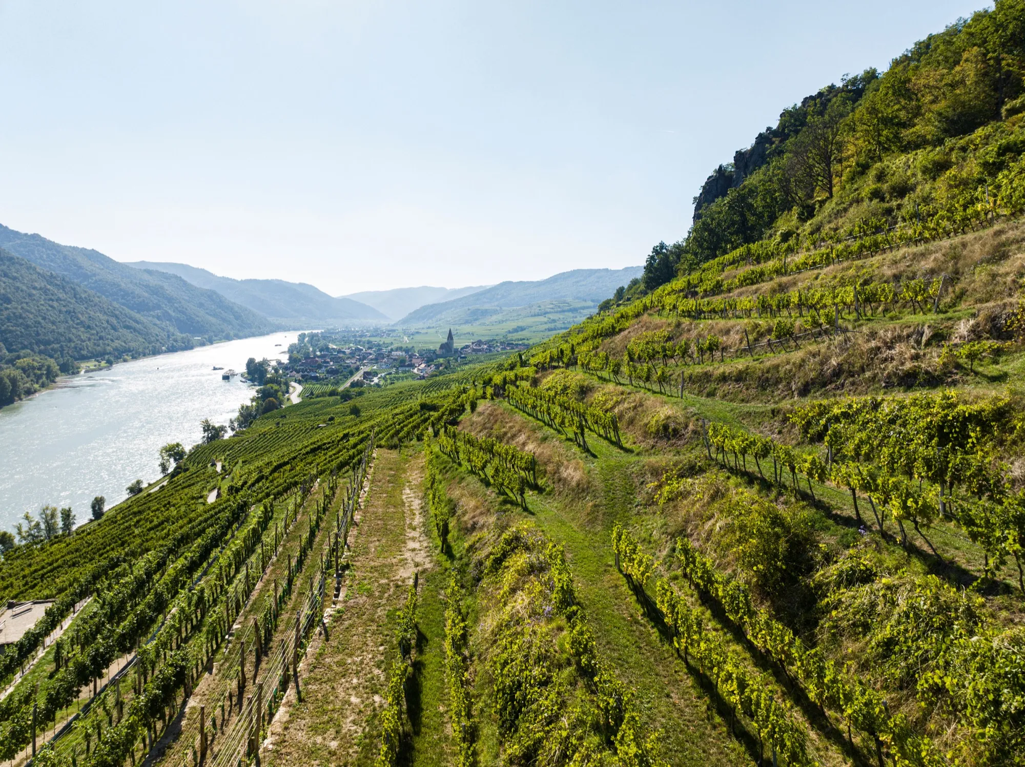 Rennrad-Ausfahrt durch die Weinberge der Wachau bei Achleiten