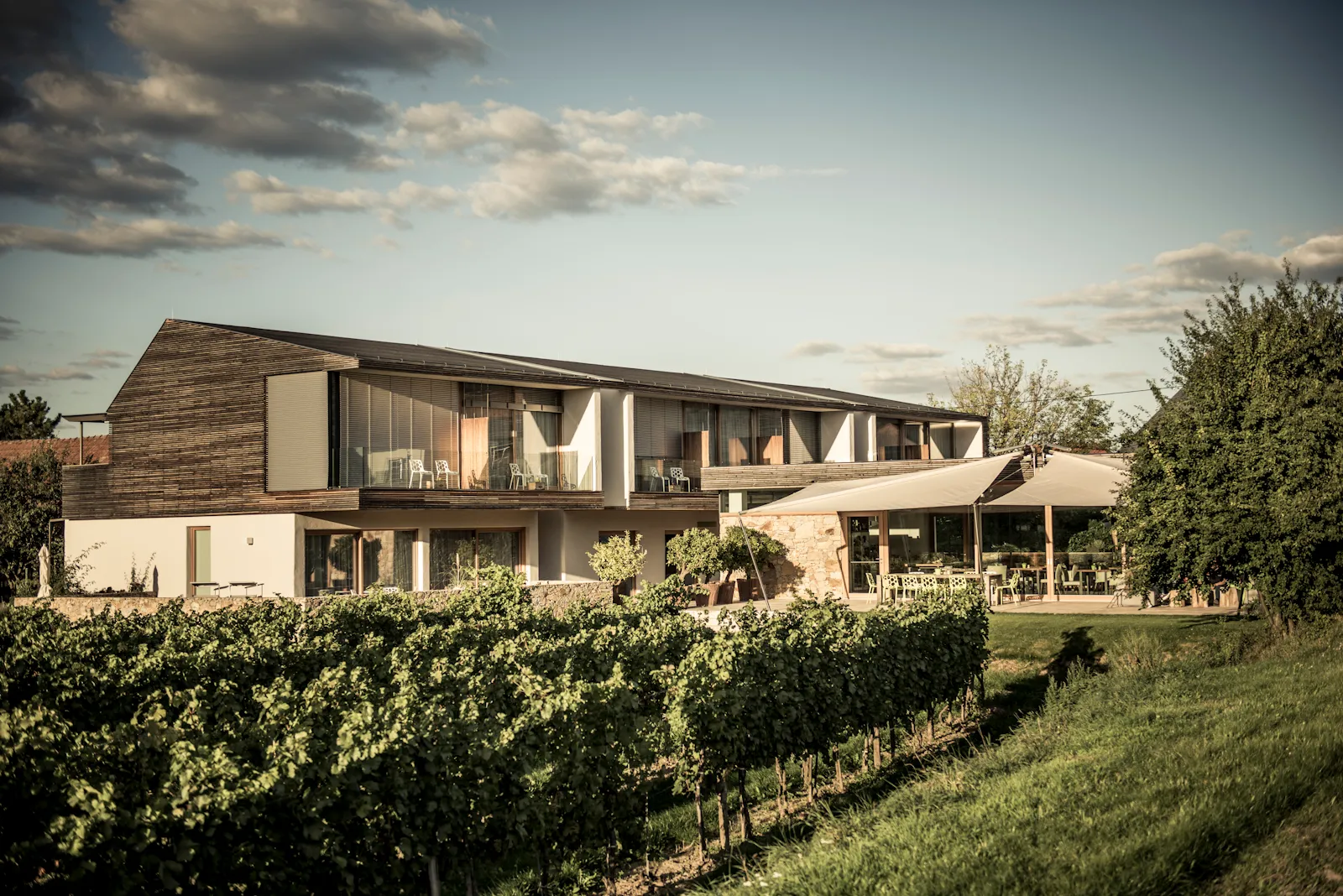 MALAT Weingut & Hotel in Furth bei Göttweig, umgeben von Weingärten